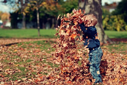 Children playing in the leaves